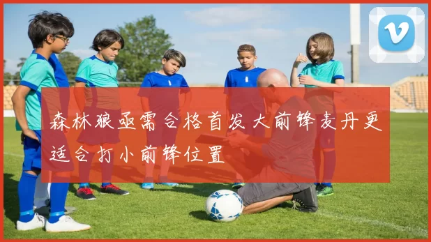 森林狼亟需合格首发大前锋麦丹更适合打小前锋位置