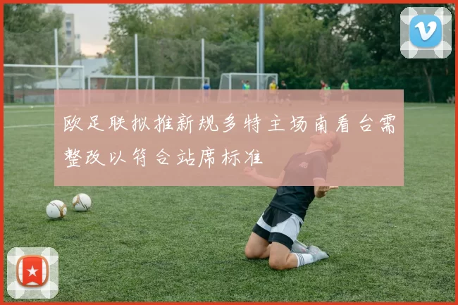 欧足联拟推新规多特主场南看台需整改以符合站席标准